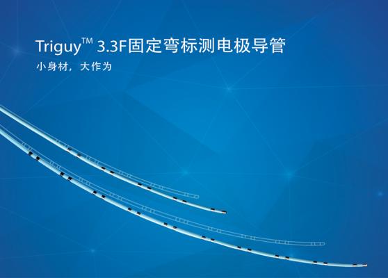 triguy? 3.3f固定彎標測導管